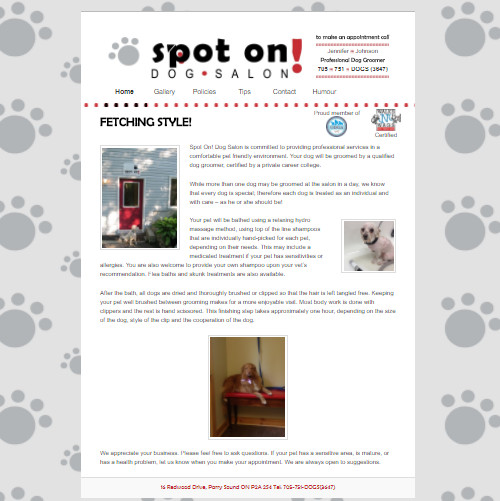Spot on dog salon website design